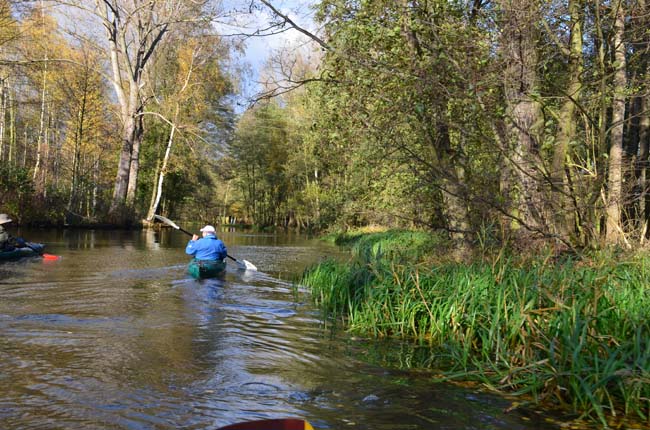 Abpaddeln-Spreewald-2013_24