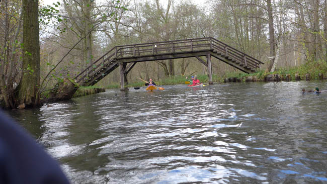 abpaddeln_spreewald-2013_19