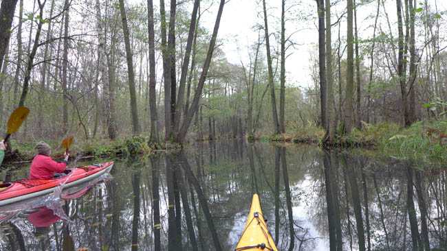 abpaddeln_spreewald-2013_32