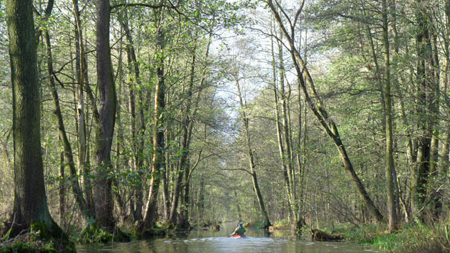 abpaddeln_spreewald-2013_35