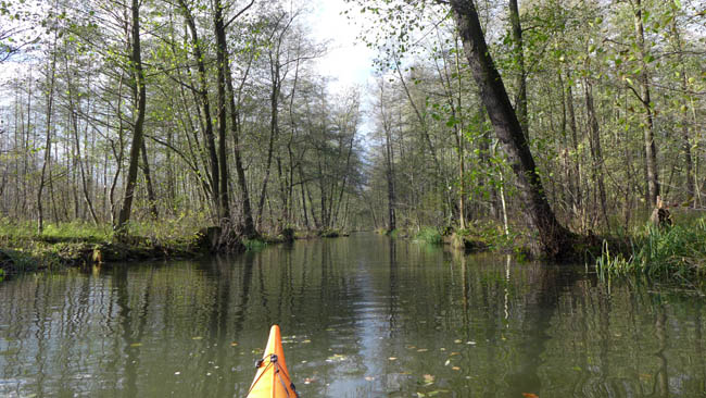 abpaddeln_spreewald-2013_36