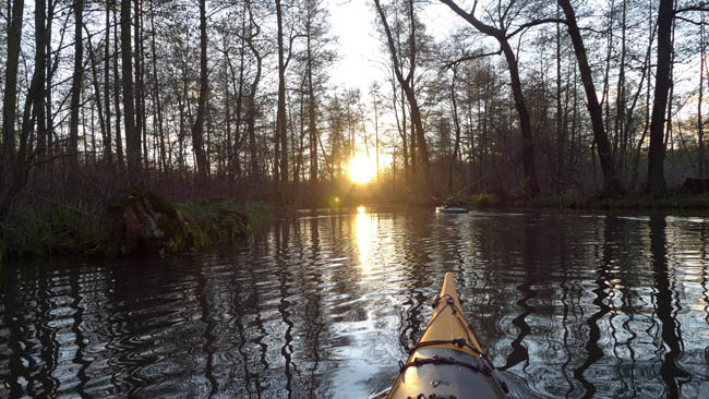 abpaddeln_spreewald-2013_44