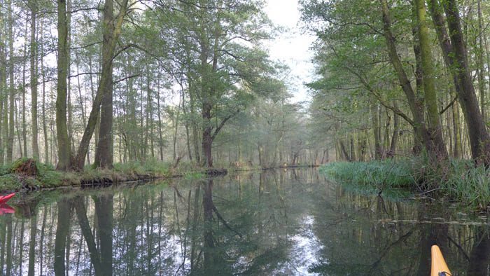 Abpaddeln im Spreewald - 2014_(22)