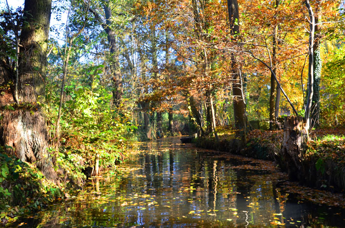 Abpaddeln_im_Spreewald-2015_(022)