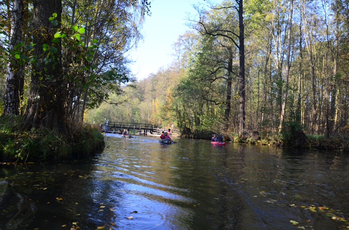 Abpaddeln_im_Spreewald-2015_(023)