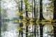 Abpaddeln_im_Spreewald-2015_(038)