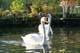 Abpaddeln_im_Spreewald-2015_(045)