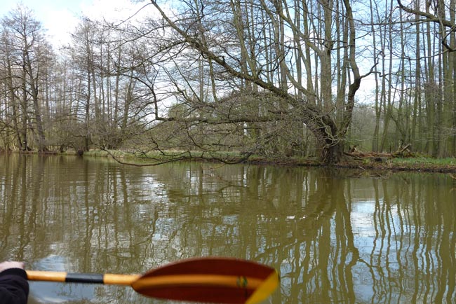 Anpaddeln-Spreewald-2012_43