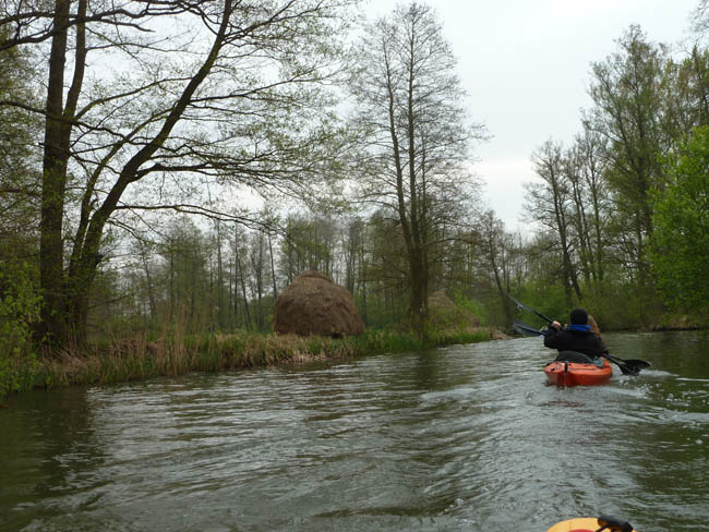 Anpaddeln im Spreewald - 2014_(22)