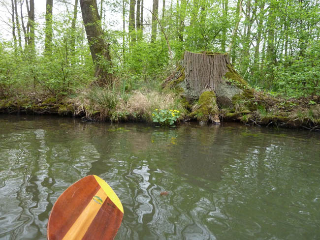 Anpaddeln im Spreewald - 2014_(23)