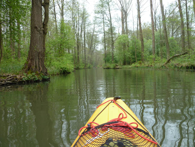 Anpaddeln im Spreewald - 2014_(29)