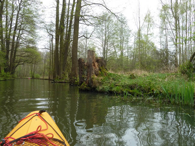 Anpaddeln im Spreewald - 2014_(32)