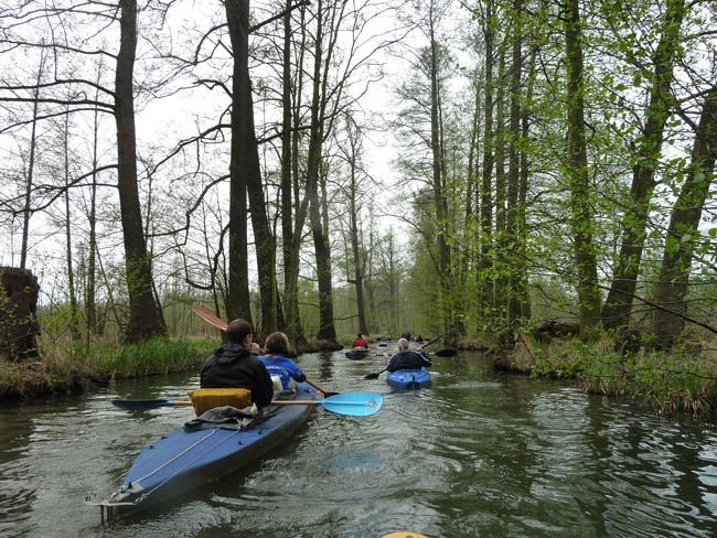 Anpaddeln im Spreewald - 2014_(42)