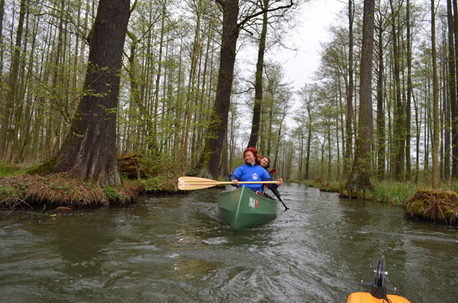 Anpaddeln im Spreewald - 2014_(46)