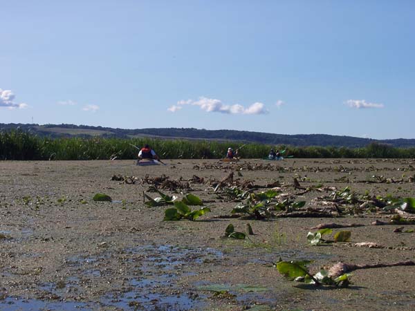 Schwedter-Polderfahrt-08_05