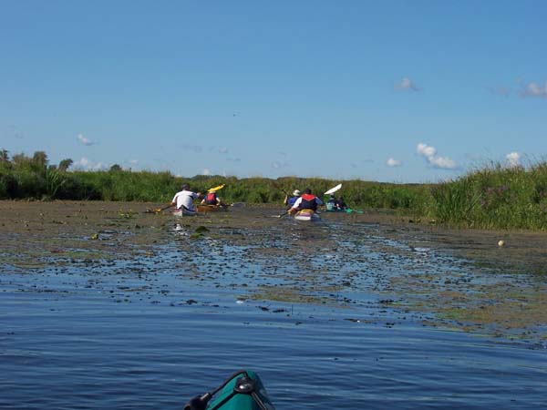 Schwedter-Polderfahrt-08_06