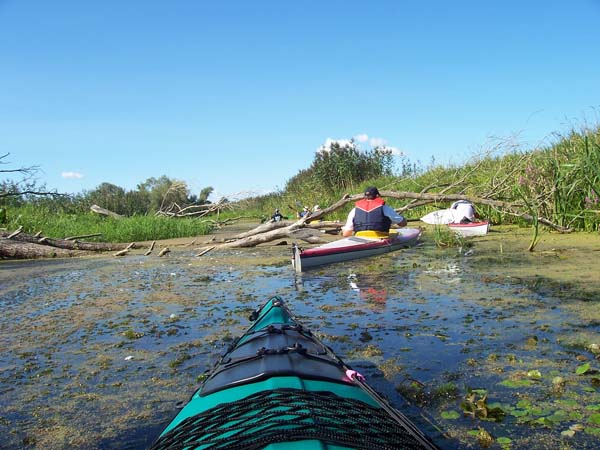 Schwedter-Polderfahrt-08_07