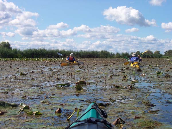 Schwedter-Polderfahrt-08_09