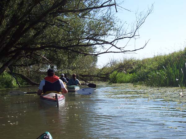 Schwedter-Polderfahrt-08_15