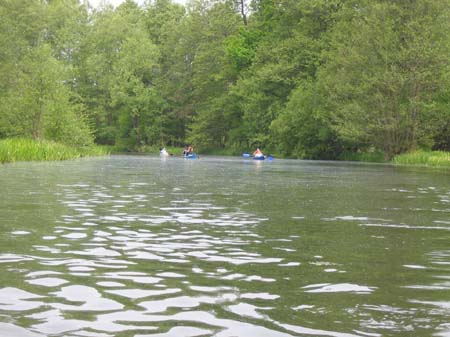 spreewaldrundfahrt_122