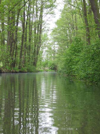 spreewaldrundfahrt_134