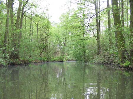 spreewaldrundfahrt_137