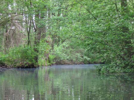 spreewaldrundfahrt_138