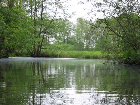 spreewaldrundfahrt_142
