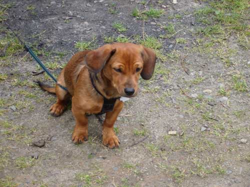 22.Luebbenauer-spreewaldrundfahrt-150