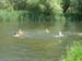 28.luebbenauer-spreewald-rundfahrt-2012_0165