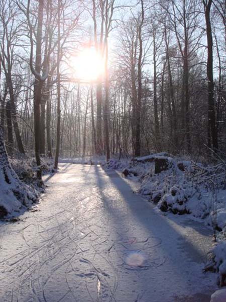 Winterimpressionen-Januar-2009-12